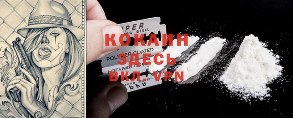 прущий лед Гусев