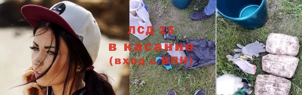 ГАЛЛЮЦИНОГЕННЫЕ ГРИБЫ Гусиноозёрск