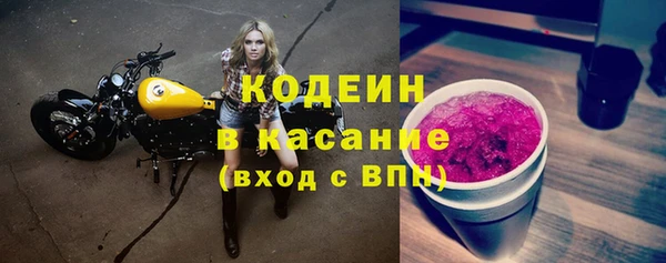 прущий лед Гусев