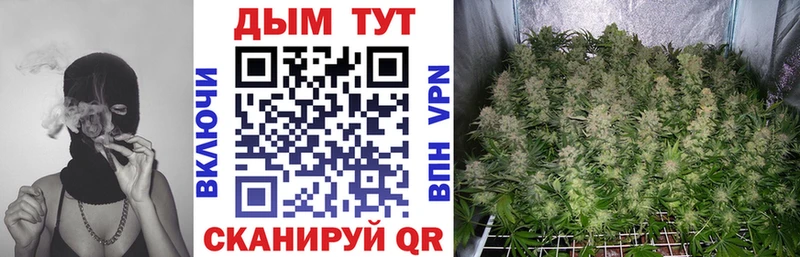 Марихуана Bruce Banner  Купить закладки  Мытищи 